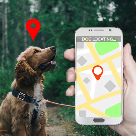 GPS PARA PERROS