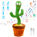 Cactus Bailarín el REGALO ideal. (ENVIO GRATIS)